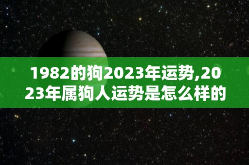 1982的狗2023年运势,2023年属狗人运势是怎么样的？