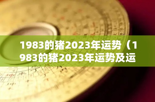 1983的猪2023年运势（1983的猪2023年运势及运程）