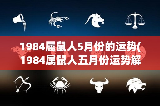 1984属鼠人5月份的运势(1984属鼠人五月份运势解析)