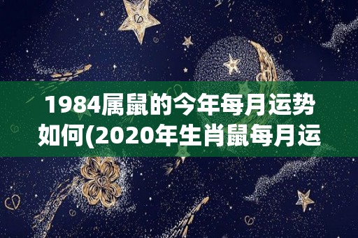 1984属鼠的今年每月运势如何(2020年生肖鼠每月运势大揭晓！)