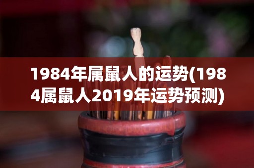 1984年属鼠人的运势(1984属鼠人2019年运势预测)