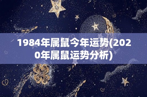 1984年属鼠今年运势(2020年属鼠运势分析)