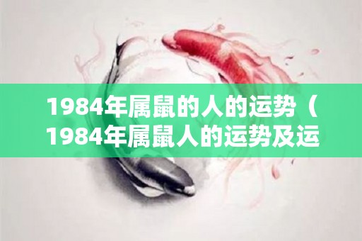 1984年属鼠的人的运势（1984年属鼠人的运势及运程）