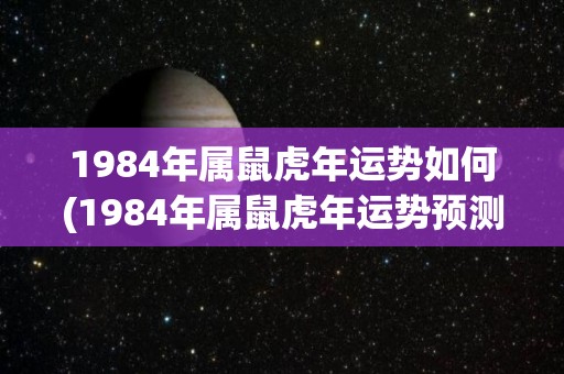 1984年属鼠虎年运势如何(1984年属鼠虎年运势预测)