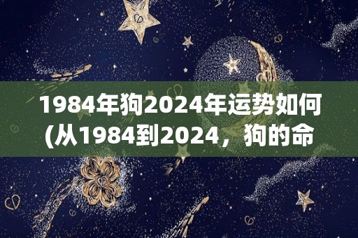 1984年狗2024年运势如何(从1984到2024，狗的命运如何改变？)