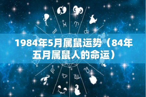 1984年5月属鼠运势（84年五月属鼠人的命运）