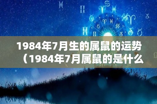 1984年7月生的属鼠的运势（1984年7月属鼠的是什么命）
