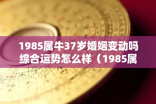 1985属牛37岁婚姻变动吗综合运势怎么样（1985属牛37以后大运）