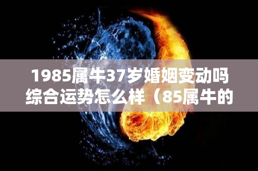 1985属牛37岁婚姻变动吗综合运势怎么样（85属牛的37岁后的运气）