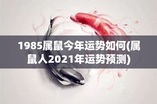 1985属鼠今年运势如何(属鼠人2021年运势预测)