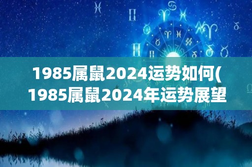 1985属鼠2024运势如何(1985属鼠2024年运势展望)