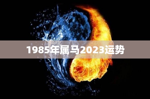 1985年属马2023运势