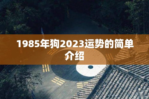 1985年狗2023运势的简单介绍