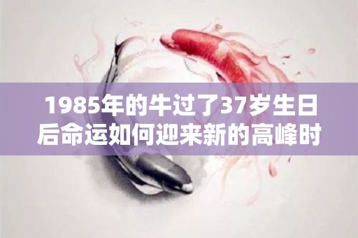 1985年的牛过了37岁生日后命运如何迎来新的高峰时刻的简单介绍