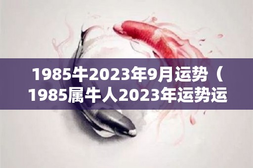1985牛2023年9月运势（1985属牛人2023年运势运程）