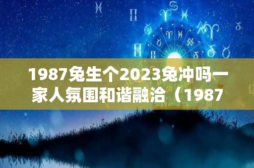 1987兔生个2023兔冲吗一家人氛围和谐融洽（1987年属兔2023年生孩子好吗）