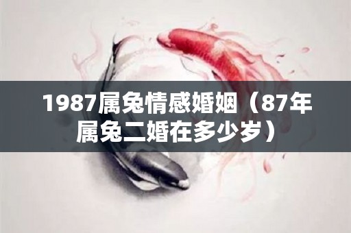 1987属兔情感婚姻（87年属兔二婚在多少岁）