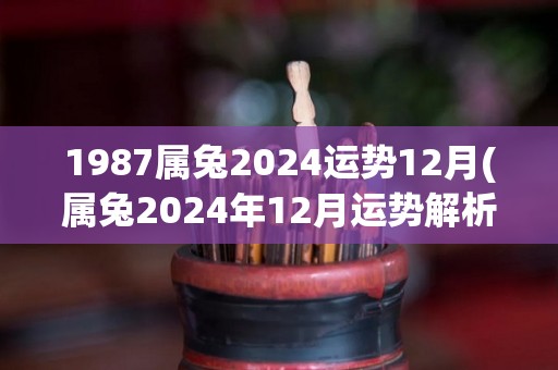 1987属兔2024运势12月(属兔2024年12月运势解析)