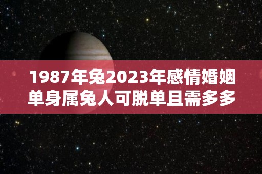 1987年兔2023年感情婚姻单身属兔人可脱单且需多多主动（87年属兔2023年岁婚姻情况）