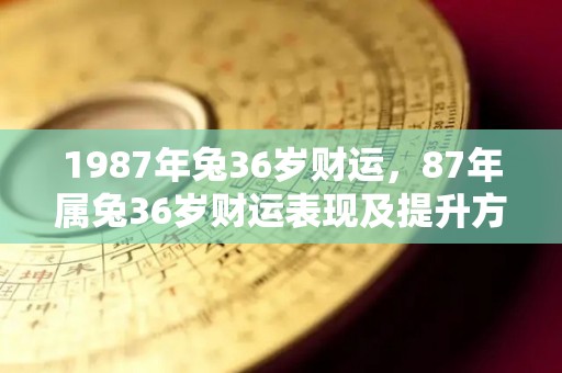 1987年兔36岁财运，87年属兔36岁财运表现及提升方法（1987年兔33岁后财运2021）