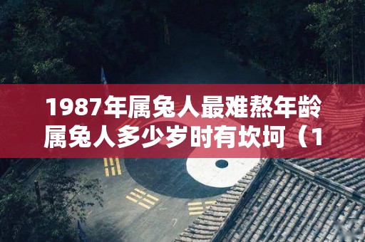 1987年属兔人最难熬年龄属兔人多少岁时有坎坷（1987年属兔人最旺的年龄）