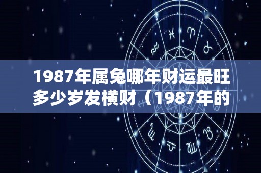 1987年属兔哪年财运最旺多少岁发横财（1987年的兔什么时候发财）