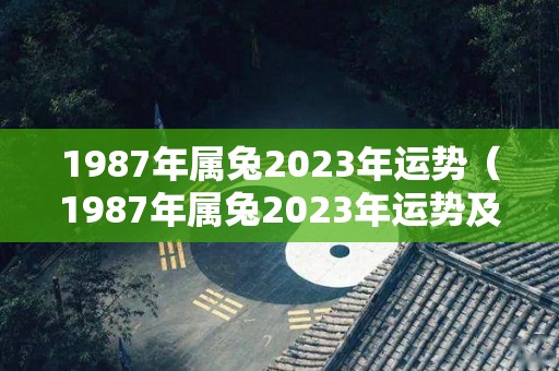 1987年属兔2023年运势（1987年属兔2023年运势及运程男性）