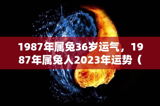 1987年属兔36岁运气，1987年属兔人2023年运势（1987年属兔2023年运势如何）