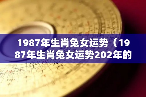 1987年生肖兔女运势（1987年生肖兔女运势202年的运势）