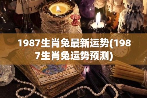 1987生肖兔最新运势(1987生肖兔运势预测)