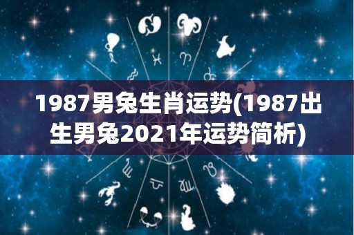 1987男兔生肖运势(1987出生男兔2021年运势简析)