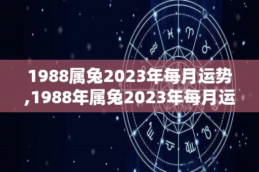 1988属兔2023年每月运势,1988年属兔2023年每月运势