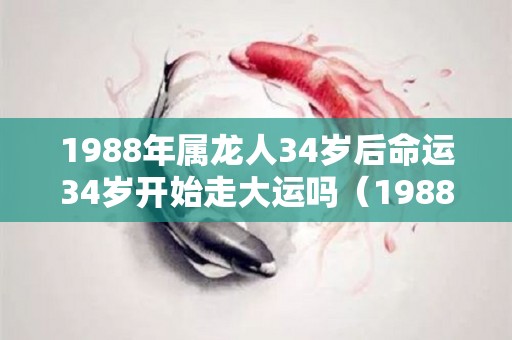 1988年属龙人34岁后命运34岁开始走大运吗（1988年龙34岁后财运）