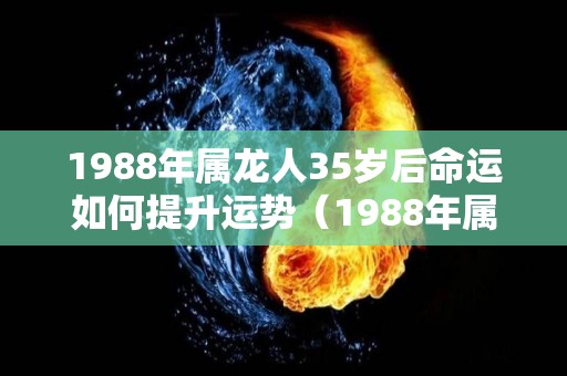 1988年属龙人35岁后命运如何提升运势（1988年属龙33岁以后命运）