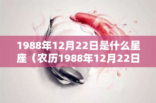 1988年12月22日是什么星座（农历1988年12月22日是什么星座）