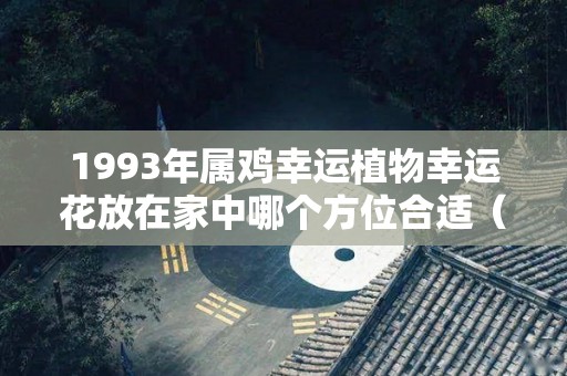 1993年属鸡幸运植物幸运花放在家中哪个方位合适（93年属鸡的幸运物是什么）