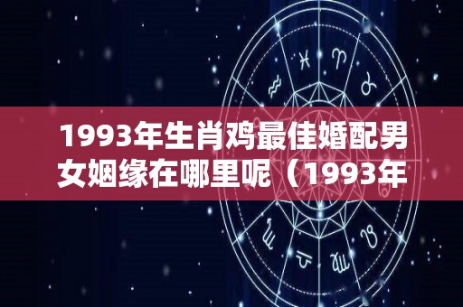 1993年生肖鸡最佳婚配男女姻缘在哪里呢（1993年属鸡的婚配如何）