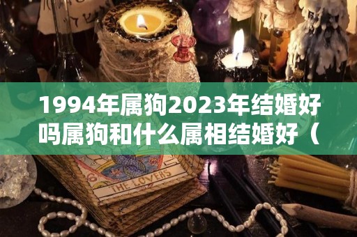 1994年属狗2023年结婚好吗属狗和什么属相结婚好（94年属狗2023年结婚好不好）