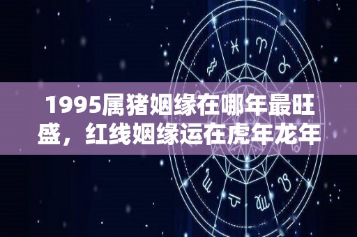 1995属猪姻缘在哪年最旺盛，红线姻缘运在虎年龙年（1995属猪的姻缘）