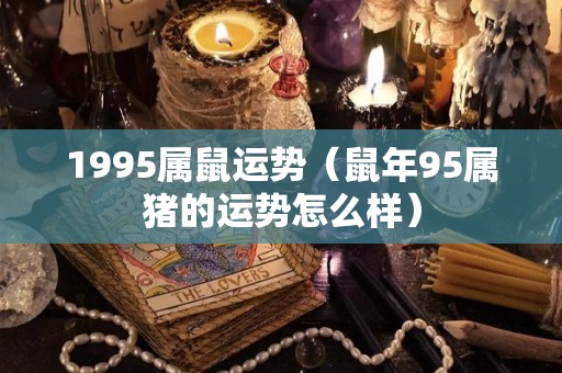 1995属鼠运势（鼠年95属猪的运势怎么样）