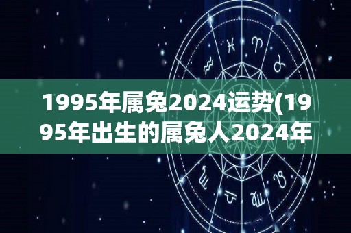 1995年属兔2024运势(1995年出生的属兔人2024年运势展望)