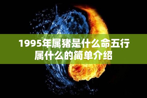 1995年属猪是什么命五行属什么的简单介绍