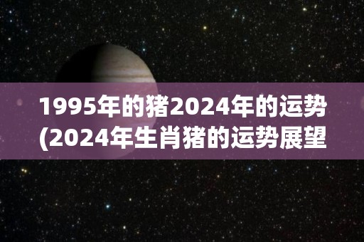 1995年的猪2024年的运势(2024年生肖猪的运势展望)