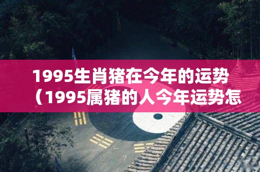 1995生肖猪在今年的运势（1995属猪的人今年运势怎么样2020）