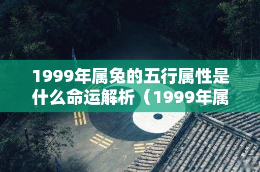 1999年属兔的五行属性是什么命运解析（1999年属兔是什么）