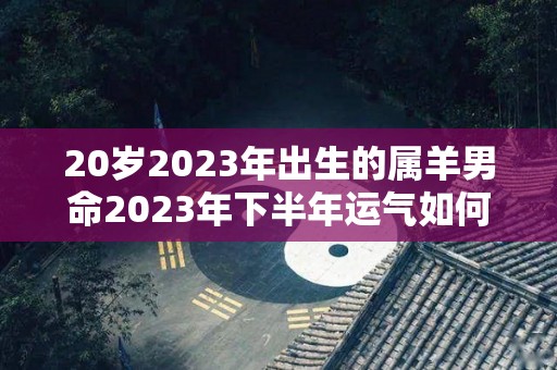 20岁2023年出生的属羊男命2023年下半年运气如何运势详解（属羊2023年运势及运程男性）