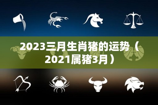2023三月生肖猪的运势（2021属猪3月）