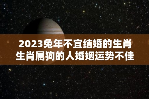 2023兔年不宜结婚的生肖生肖属狗的人婚姻运势不佳（2023年兔年最吉利的四大属相）