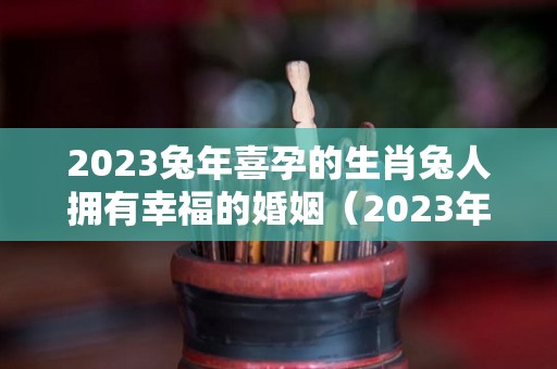 2023兔年喜孕的生肖兔人拥有幸福的婚姻（2023年的兔宝宝 备孕）