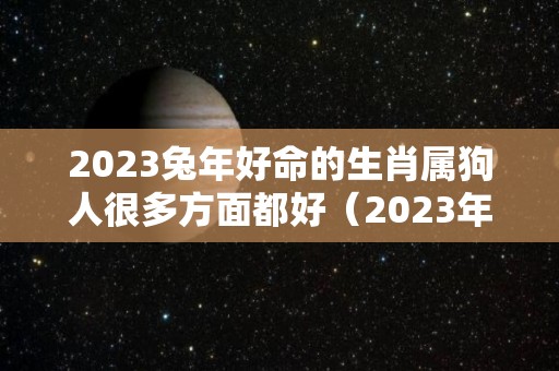 2023兔年好命的生肖属狗人很多方面都好（2023年的兔好吗）